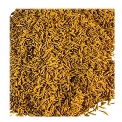 Indian Organic Trumaric